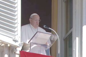 Papa Angelus 13 ottobre 2024