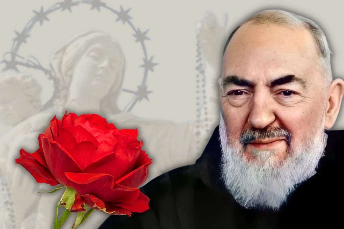 Padre Pio e la devozione alla Madonna di Pompei: il prodigio della rosa rossa